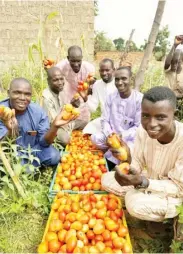  ?? ?? Youths of Tudun Nupawa after reaping the rewards of modern vegetable farming