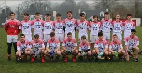  ??  ?? The Tinahely Minor football team who defeated Rathnew in the Minor football league on Monday evening last.