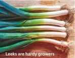  ??  ?? Leeks are hardy growers