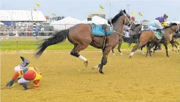  ??  ?? JOHN MCDONNELL/THE WASHINGTON POST VIA AP Jockey John Velazquez tumbles to the track after falling off Bodexpress as the field breaks from the starting gate in the Preakness Stakes.