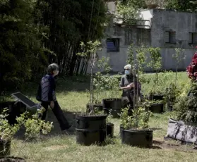  ??  ?? Trastevere Primi visitatori all’Orto Botanico di largo Cristina di Svezia, riaperto ieri dopo la chiusura per l’emergenza