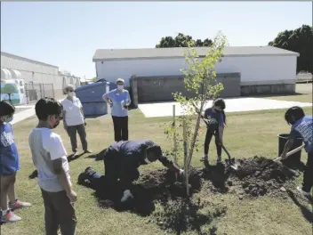  ?? BY KAREN BOWEN ?? YUMA ORCHID AND AFRICAN VIOLET SOCIETY MEMBERS (BACK ROW) sponsored a tree and attended the Arbor Day celebratio­n held at Carver Elementary School. Frank Saldana, Arbor Tech Tree and Landscape Service owner, helps students fill in with soil around the tree.