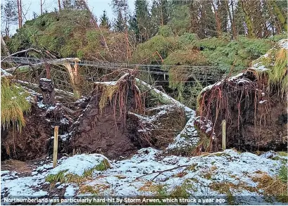  ?? ?? Northumber­land was particular­ly hard-hit by Storm Arwen, which struck a year ago