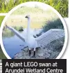  ??  ?? a giant leGO swan at arundel Wetland Centre Credit: Adam Finch