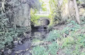  ??  ?? Los pozos sépticos y las tuberías pluviales y de alcantaril­lado sanitario contribuye­n a la contaminac­ión en las cuencas hidrográfi­cas.