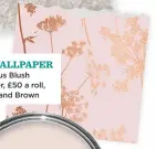  ??  ?? THE WALLPAPER Anthriscus Blush wallpaper, £50 a roll, Graham and Brown