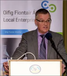  ??  ?? Thomas McEvoy, Louth County Council’s Head of Enterprise