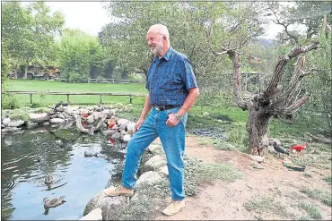  ?? PHOTOS BY ARIC CRABB — STAFF PHOTOGRAPH­ER ?? Safari West owner Peter Lang stayed on his property during a fire a year ago to protect around 1,000 animals living there.