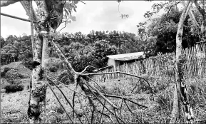  ?? Policía ?? • La vivienda en la que permanecía retenida la joven, de 24 años de edad, se encuentra en una zona montañosa, en Puerto Quito.