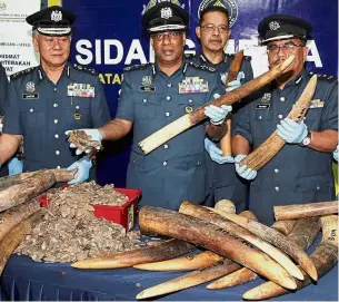  ??  ?? Major haul: Subromania­m (second from left) showing the seized tusks and scales.