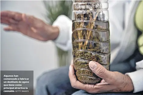  ?? GETTY IMAGES ?? Algunos han comenzado a fabricar un destilado de agave que tiene como principal atractivo la cannabis.