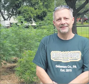  ?? BOB GROTZ - MEDIANEWS GROUP ?? Owner Jeff Prudente stands in front of Microgrown Farm, which grows CBD hemp, in Thornbury Township.