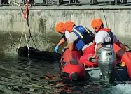  ??  ?? La cattura L’intervento dei vigili del fuoco all’altezza della «Conca fallata» del Naviglio Pavese, la chiusa di Leonardo da Vinci, per catturare uno dei tre esemplari trovati ieri (su sei avvistati), poi sedato e liberato in aree verdi