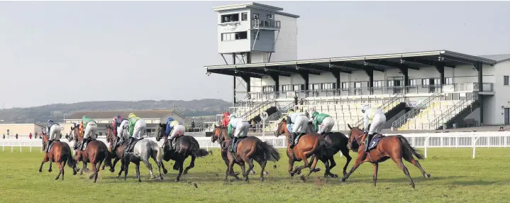  ?? David Davies/pa Wire ?? Runners and riders in the Potter Group Welsh Champion Hurdle at Ffos Las on Sunday.