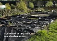  ??  ?? Lay a sheet or tarpaulin down to stop weeds