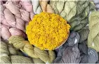  ??  ?? Yarn is dyed with natural colours, like yellow from marigold flowers.