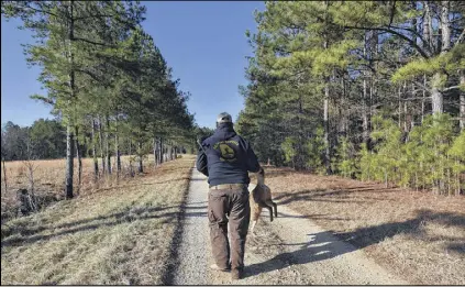  ?? HYOSUB SHIN PHOTOS / HSHIN@AJC.COM ?? Dan Eaton, president of CSRA Trapping Service, releases a 31-pound female coyote after they outfitted her with GPS device.