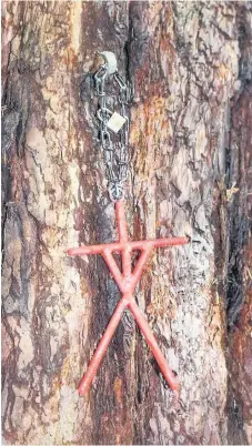  ??  ?? Spooky The symbol that is bolted to a tree in Chatelhera­ult