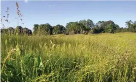  ?? ?? Tottenham’s proposals for a ‘world-leading’ women’s football academy at Whitewebbs Park are opposed by many local people. Photograph: Friends of Whitewebbs Park