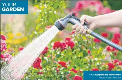  ?? with Supplied by Waterwise (NORTH EAST WATER) ?? ◆ Ensuring you water at the right time will not only save you water but help your plants survive as well.