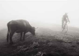  ??  ?? Below: Nearing the 3,000m mark, the mist is too thick to continue, especially with bovine hazards wandering onto the road
Right: The roads are narrower and steeper than on the way up, and the descent offers stunning views of the town of Güejar Sierra