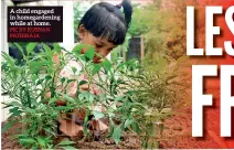  ?? PIC BY KUSHAN PATHIRAJA ?? A child engaged in homegarden­ing while at home.