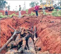  ?? SUPPLIED ?? The trees were buried to hide the evidence from authoritie­s while other trees were burned.