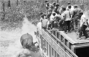  ??  ?? This file photo taken on April 4, 2017 shows a Nepalese veterinary and technical team release a rhino after it is relocated to Shuklaphan­ta National Park, some 510 kms from Kathmandu. All hell broke loose as the one-horned rhino stepped out of the...