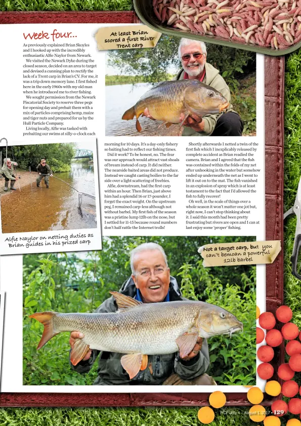  ??  ?? duties as Alfie Nayloron netting carp Brian guides in his prized At least Brian scored a first River Trent carp