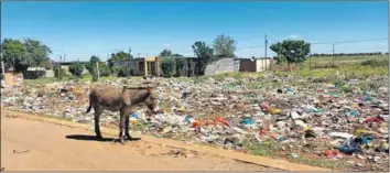  ?? ?? Litter: Rubbish is scattered around Blydeville in Lichtenbur­g, with a resident saying that she has not seen a refuse collector for years.