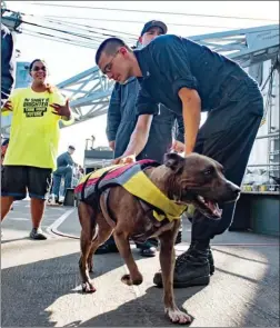 ?? The Associated Press ?? A sailor greets Zeus the dog and owner Tasha Fuiava, left, onboard the USS Ashland after the ship rescued two women and their dogs lost at sea for five months.