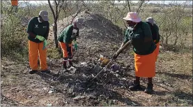  ?? Picture: KNP ?? CLEAN CONSCIENCE: The clean-up programme included picking up litter on the roads, veld and in the seasonal streams.