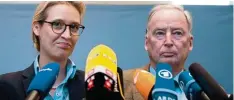  ?? Foto: Steffi Loos, afp ?? Die Fraktionss­pitze: Alice Weidel und Alexander Gauland