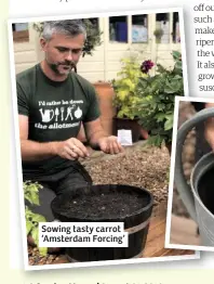  ??  ?? Sowing tasty carrot ‘Amsterdam Forcing’