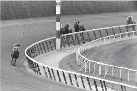  ?? DAVE PICKOFF THE ASSOCIATED PRESS ?? In this June 9, 1973, file photo, jockey Ron Turcotte, aboard Secretaria­t, turns for a look at the field behind, as they make the final turn on the way to winning the 1973 Triple Crown.