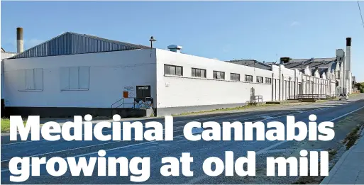  ?? JOHN HAWKINS/ STUFF ?? Growing has started on site at the former Mataura paper mill, which is being converted into a medicinal cannabis and hemp plant.