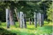  ?? NEIL EVER OSOBORNE ?? Carved memorial poles dot the ancient Haida village of Ninstints.