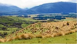  ??  ?? Jericho Station in Southland, managed by Landcorp. Farmer Ed Pinckney says his offer is still on the table now that the Chinese bidder has withdrawn.