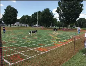  ?? SUBMITTED PHOTOS ?? The inaugural Cow Pie Derby on Sunday, Aug. 4, 2019, helped raise money for the Oneida Healthcare Cancer Care Fund.