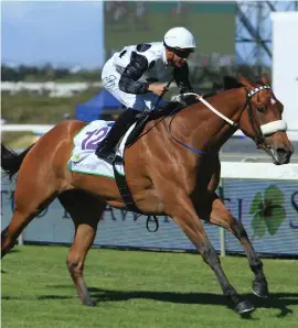  ??  ?? STRONG CLAIMS. Snowdance is likely to be a popular Pick 6 banker at the Vodacom Durban July meeting on 7 July when she runs in the Grade 1 Jonsson Workwear Garden Province Stakes over 1600m.
