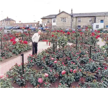  ??  ?? The Haig Memorial Gardens in Ladybank were in full bloom in this photograph taken in July 1993.