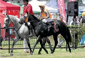  ?? SUPPLIED ?? Cameron Lammas brings Gold Fever back to scale at Te Rapa on Saturday.