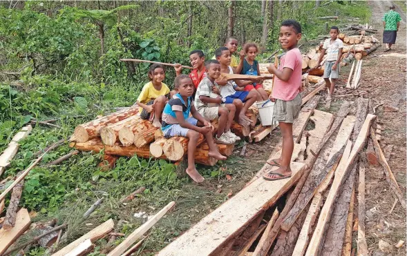  ?? Photo: Ministry of Forestry ?? Children of Kadavu sit on the sawn pine logs that will be used to provide them shelter in the coming weeks.