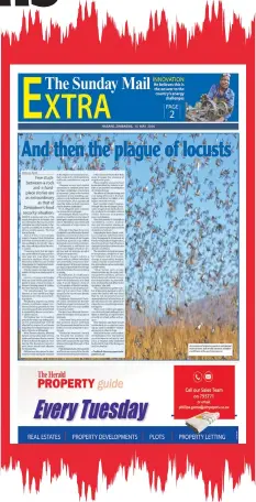 ??  ?? FLASHBACK . . . Last year The Sunday Mail reported on the forecast of a pest invasion likelihood