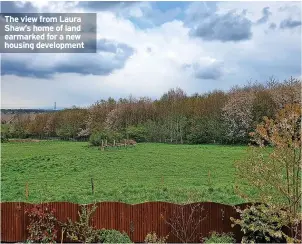  ?? ?? The view from Laura Shaw’s home of land earmarked for a new housing developmen­t