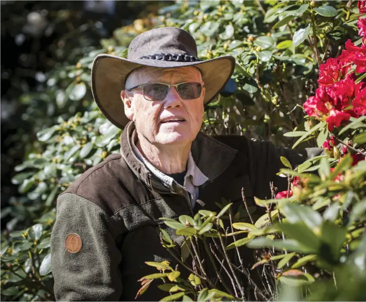  ??  ?? Lars-olof Tunbrå fastnade för rododendro­n på 70-talet. I dag har han mer än 300 buskar i sin enorma trädgård på Orust.