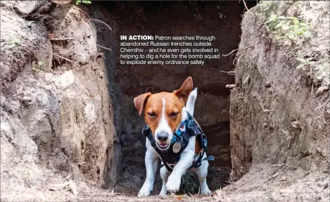 ?? ?? IN ACTION: Patron searches through abandoned Russian trenches outside Chernihiv – and he even gets involved in helping to dig a hole for the bomb squad to explode enemy ordnance safely