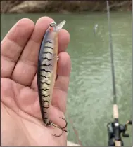  ?? (Arkansas Democrat-Gazette/Bryan Hendricks) ?? This Long A Bomber has been Chris Larson’s hot lure for walleyes and stripers on the upper Ouachita River this month.