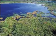  ?? Wikipedia ?? Aerial view of wetlands in the Okefenokee swamp.
