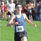  ?? RICK WOOD / MILWAUKEE JOURNAL SENTINEL ?? Eli Dyer helped lead the Whitefish Bay boys to a sectional cross-country title on Saturday at Lincoln Park Golf Course.